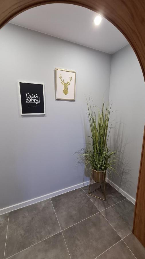 Apartament Deluxe 2 奥斯威辛 外观 照片